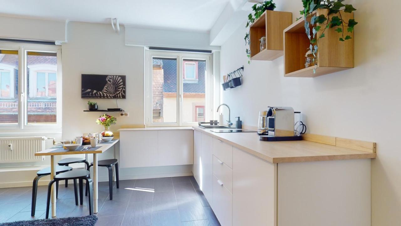 Suite Privative 43M2 - Les Tailleurs A 120M De La Cathedrale Strasbourg Luaran gambar