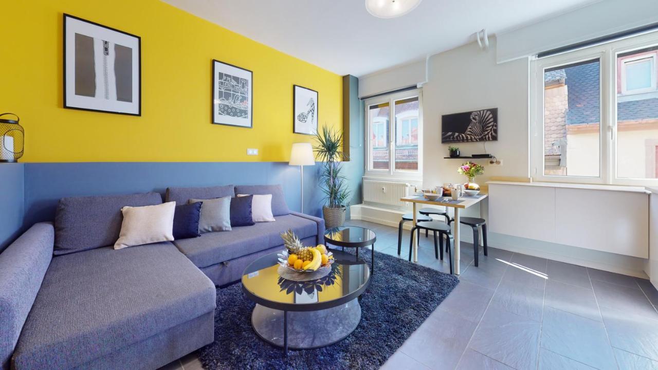 Suite Privative 43M2 - Les Tailleurs A 120M De La Cathedrale Strasbourg Luaran gambar