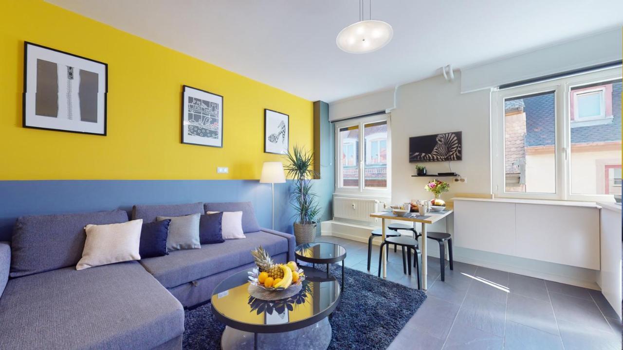 Suite Privative 43M2 - Les Tailleurs A 120M De La Cathedrale Strasbourg Luaran gambar